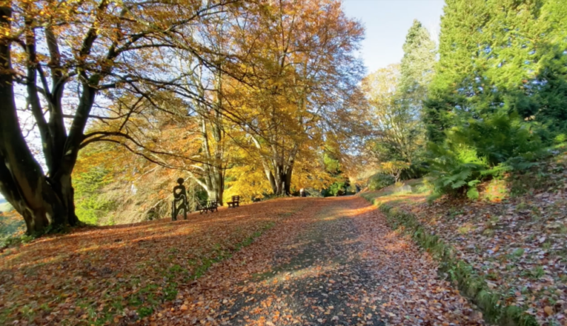 Autumn on campus