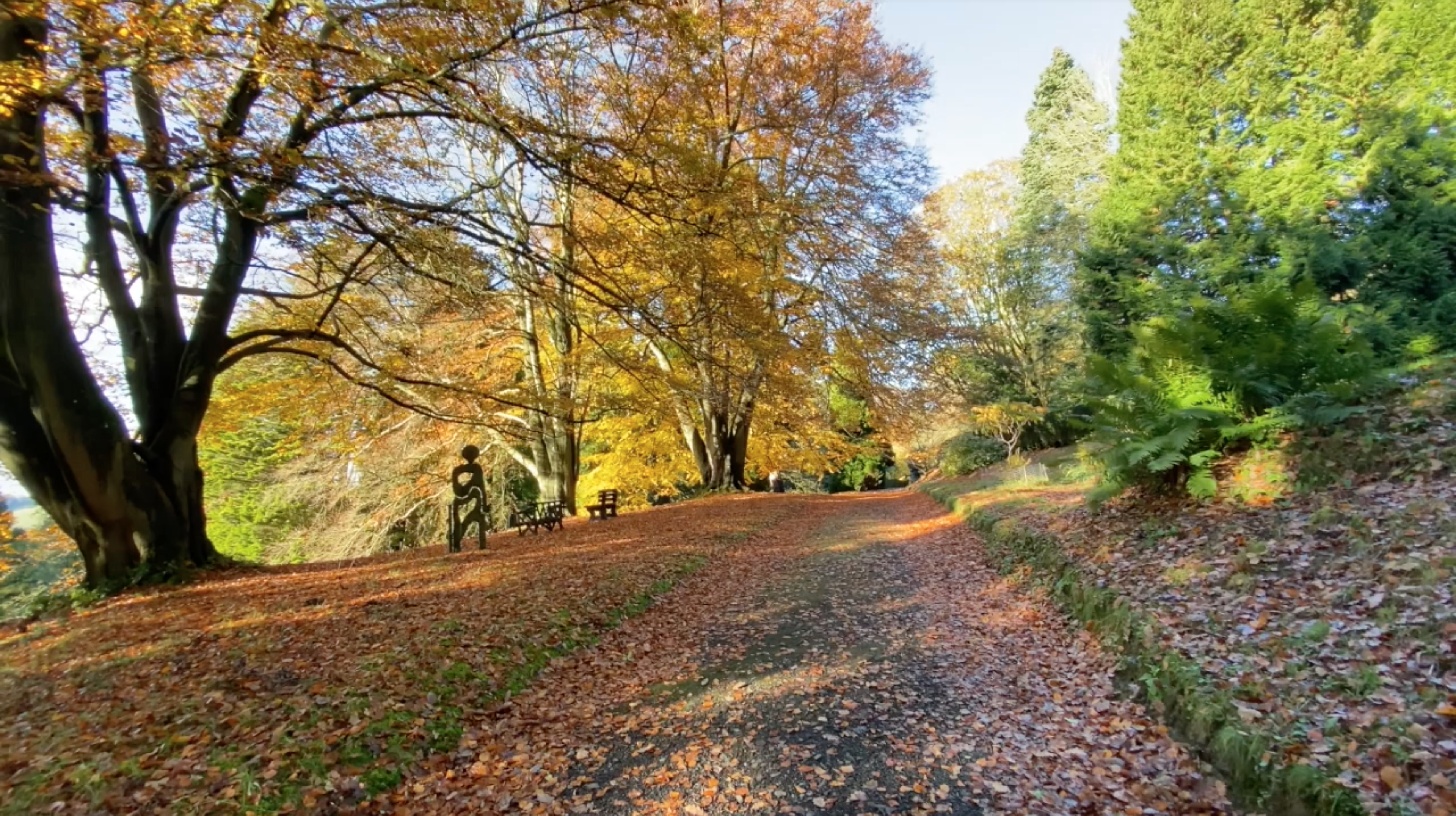 Autumn on campus